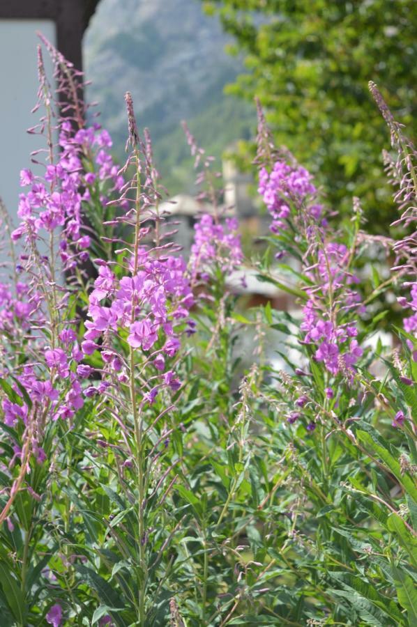 Appartamento Curnet Balme エクステリア 写真